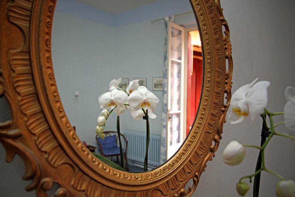 Logis Hotel Saint Clair Albi Esterno foto